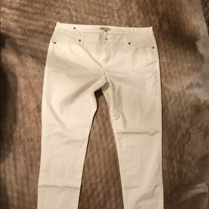 Cabi jeans - brand new with tags!